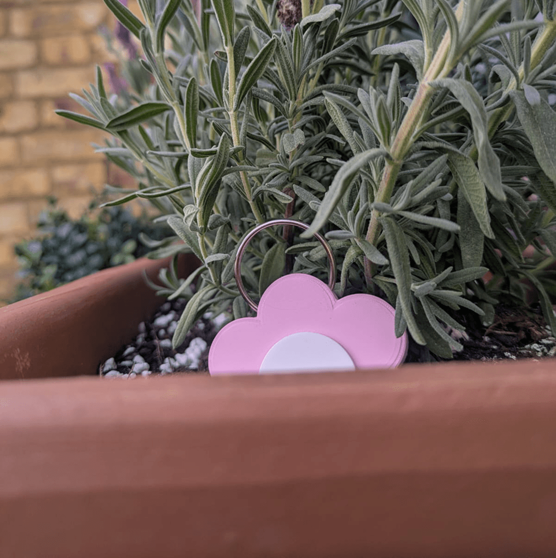 Faerd Lock Charm beside a lavender pot